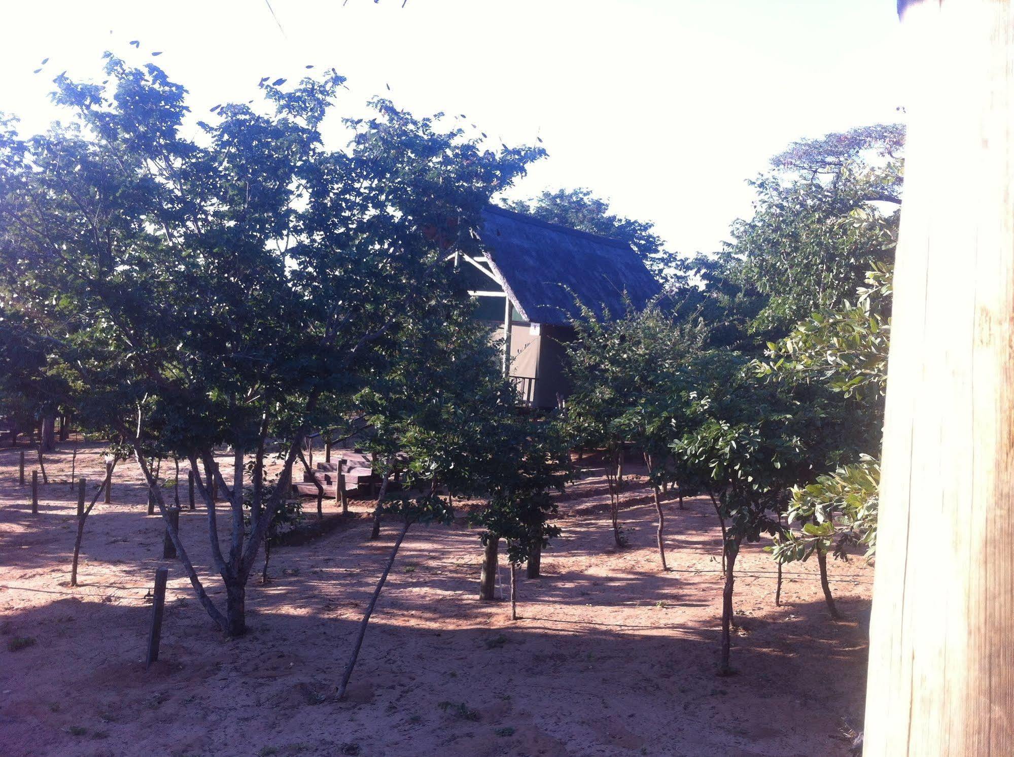 Lion Roars Lodge Lesoma Exterior foto