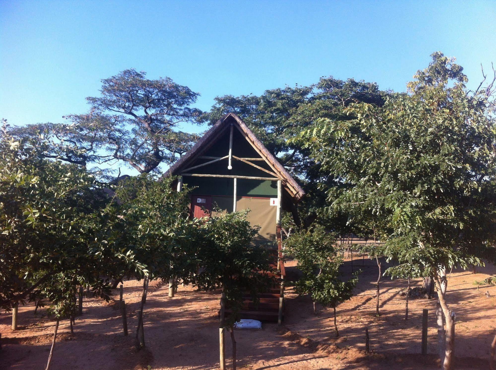 Lion Roars Lodge Lesoma Exterior foto